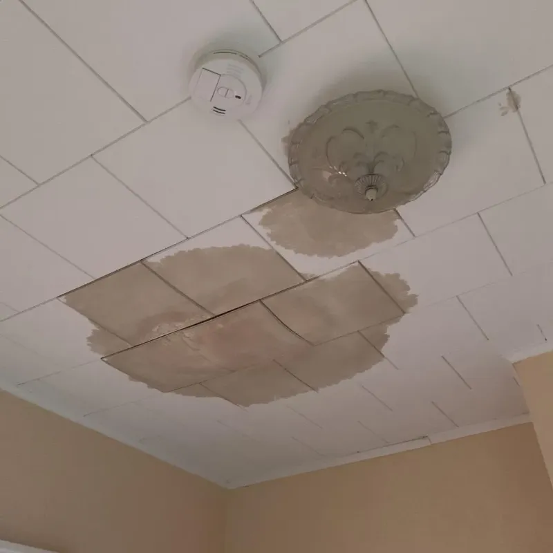 Ceiling Water Damage Repair in Marmet, WV
