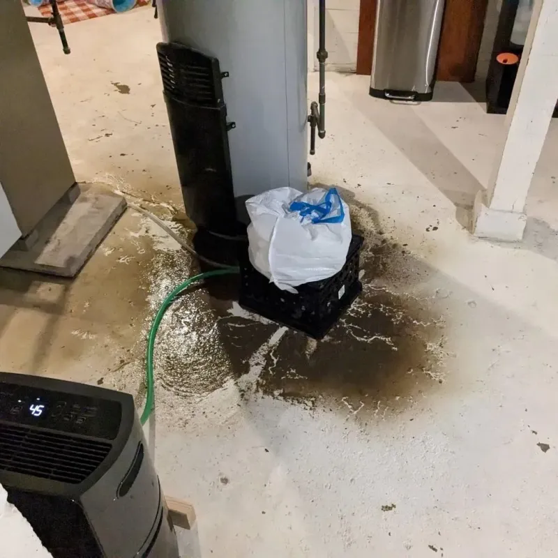 Sewage Backup Cleanup Service in Marmet, WV
